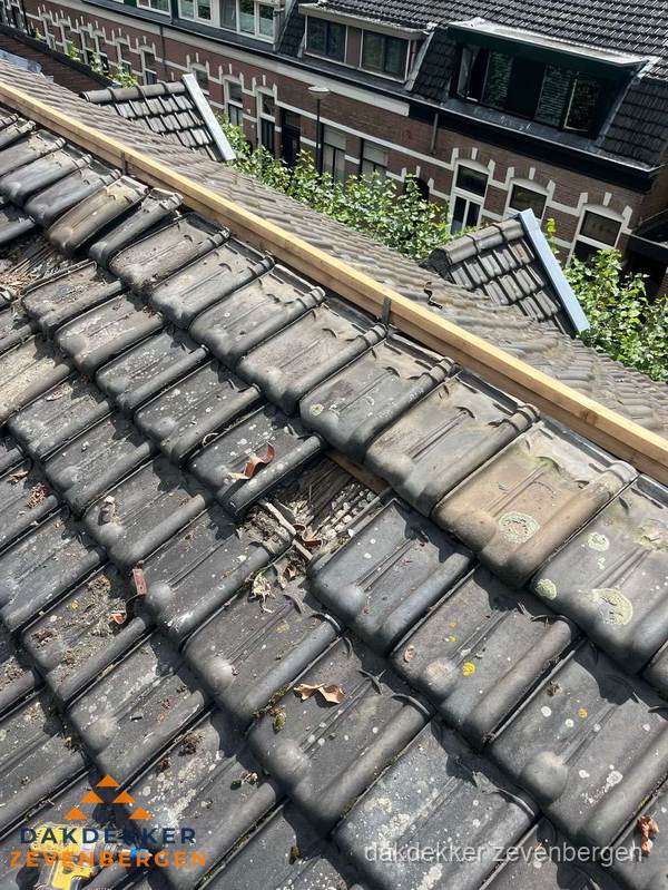 Dakonderhoud aan schuin pannendak met nokvernieuwing in Zevenbergen Dakonderhoud aan schuin pannendak met nokvernieuwing in Zevenbergen