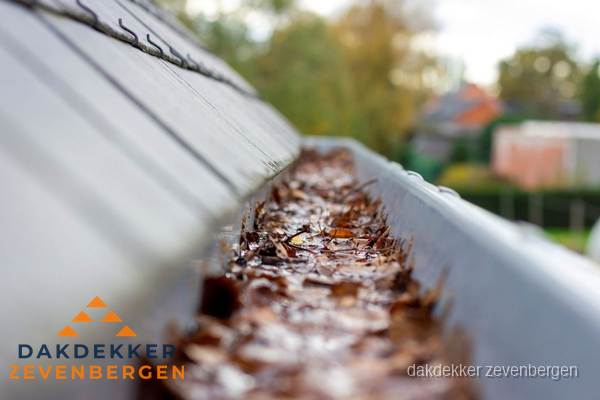 Verstopte dakgoot met bladeren schoonmaken in Zevenbergen Verstopte dakgoot met bladeren schoonmaken in Zevenbergen