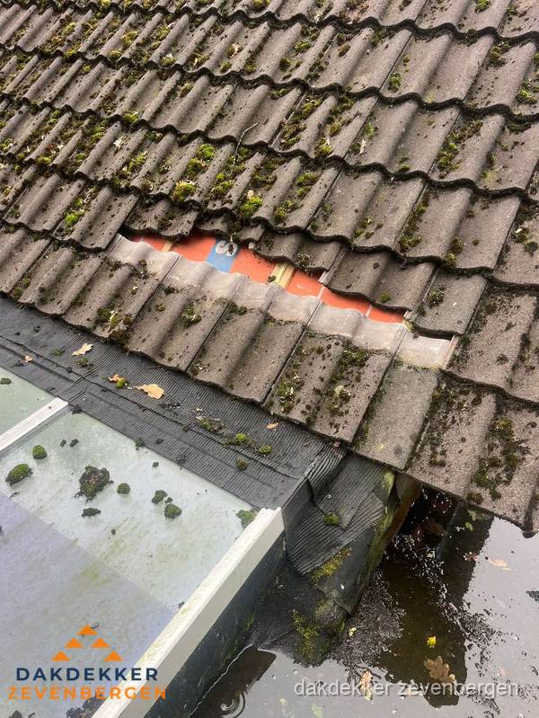 Beschadigd pannendak met ontbrekende dakpannen voor reparatie in Zevenbergen Beschadigd pannendak met ontbrekende dakpannen voor reparatie in Zevenbergen