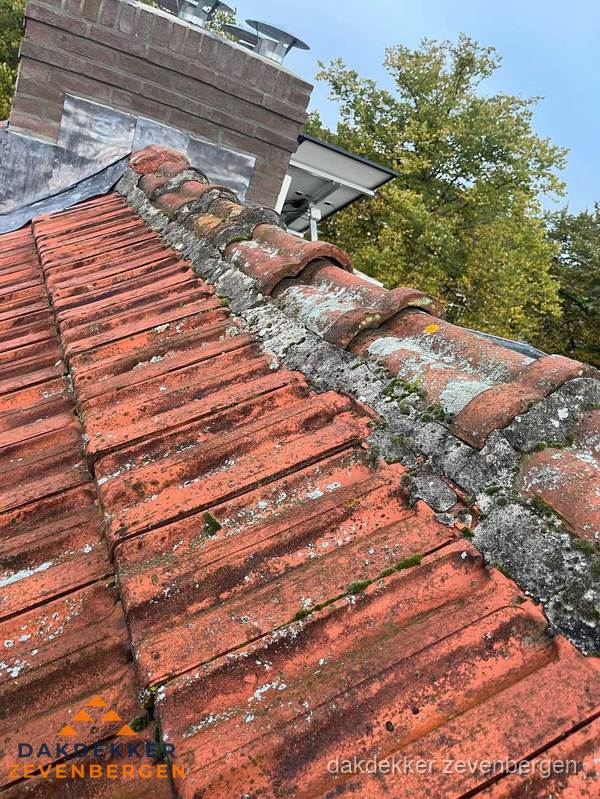 Verweerd hellend dak met mosgroei op nokvorst in Zevenbergen