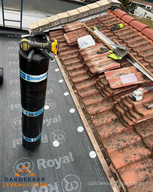 Dakschade herstel: pannendak renovatie in Zevenbergen Dakschade herstel: pannendak renovatie in Zevenbergen