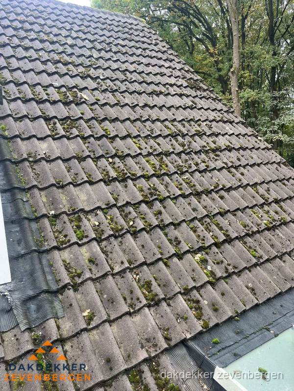 Verweerd pannendak met mosgroei dat renovatie nodig heeft in Zevenbergen Verweerd pannendak met mosgroei dat renovatie nodig heeft in Zevenbergen