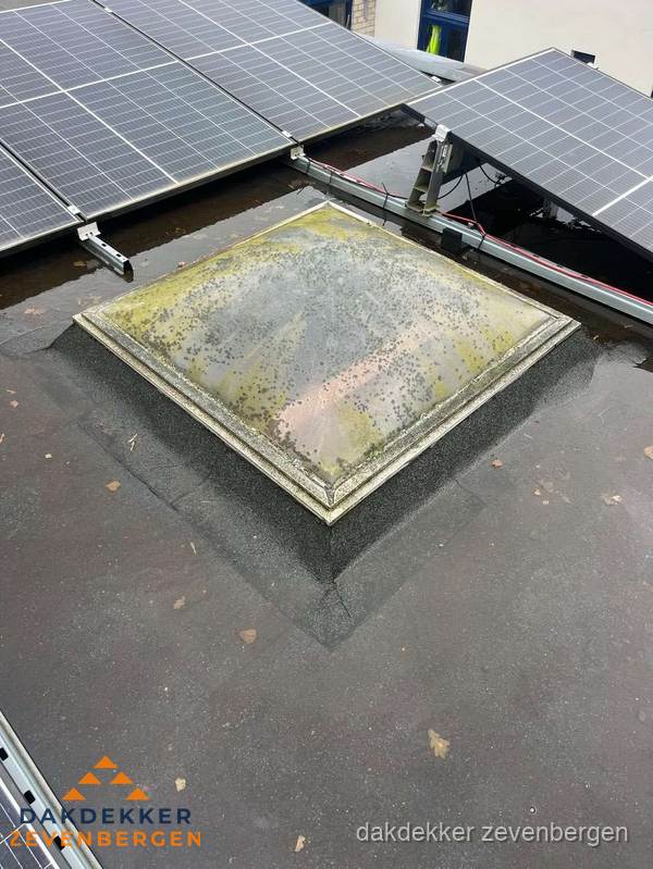 Vervuilde lichtkoepel op plat dak met zonnepanelen in Zevenbergen Vervuilde lichtkoepel op plat dak met zonnepanelen in Zevenbergen