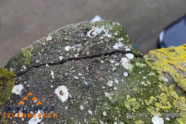 Beschadigde en verweerde nokvorst met scheuren en mos in Zevenbergen Beschadigde en verweerde nokvorst met scheuren en mos in Zevenbergen