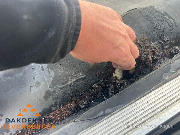 Schade aan bitumen dakbedekking op plat dak in Zevenbergen Schade aan bitumen dakbedekking op plat dak in Zevenbergen