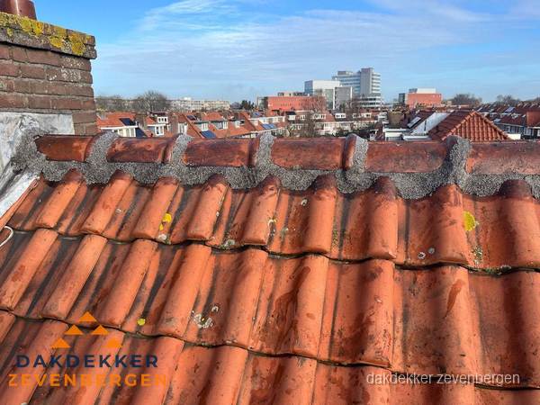 Pannendak met nokvorst en schoorsteen, dakrenovatie in Zevenbergen Pannendak met nokvorst en schoorsteen, dakrenovatie in Zevenbergen